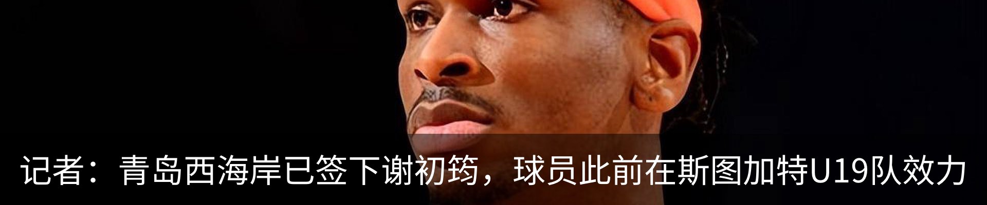 新闻动态