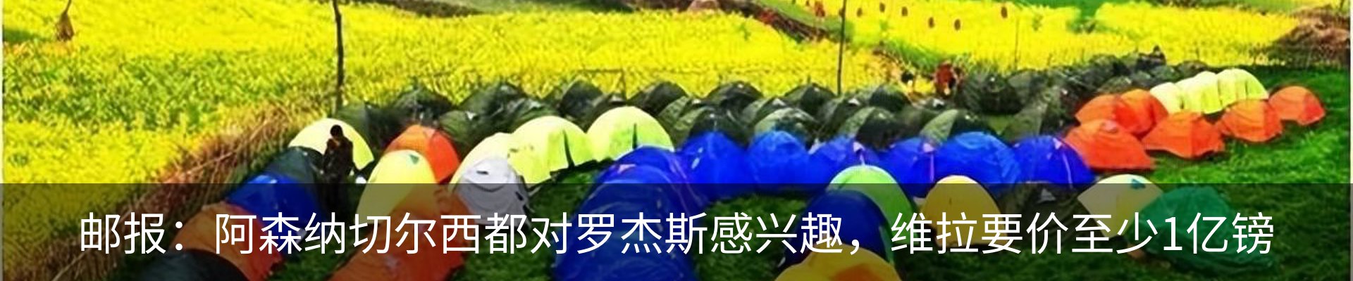 新闻动态